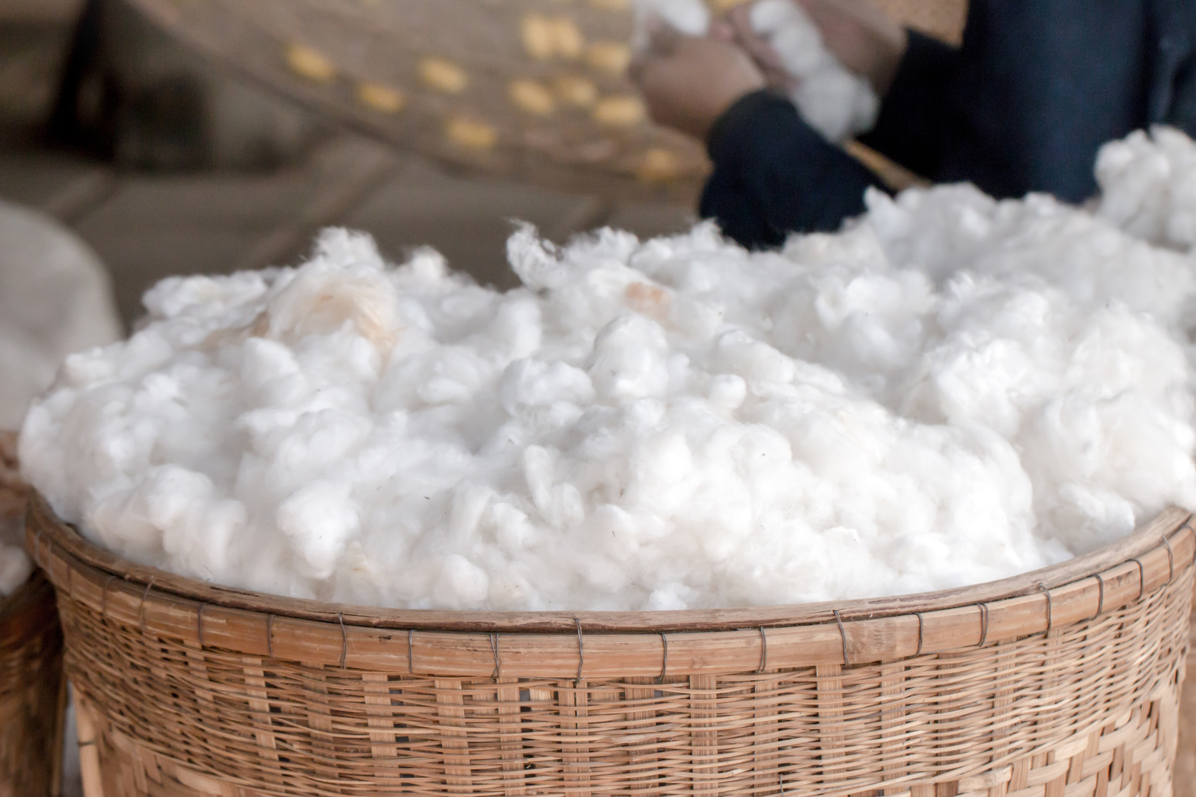 sourcing of cotton